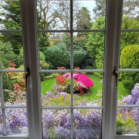 Little Robin Gate - Free Parking - Central - 10 Min Walk To Train Station Bournemouth Zewnętrze zdjęcie