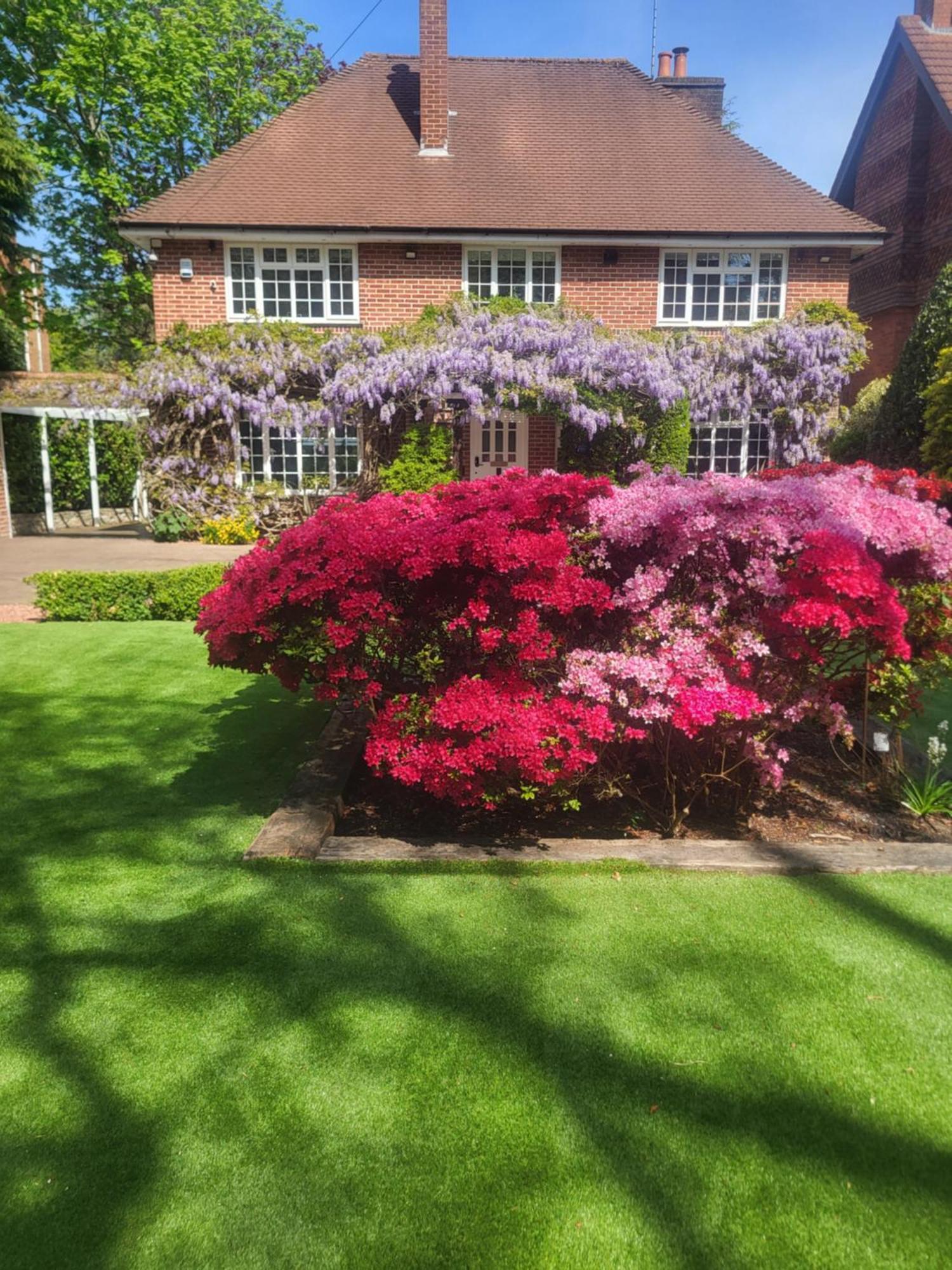 Little Robin Gate - Free Parking - Central - 10 Min Walk To Train Station Bournemouth Zewnętrze zdjęcie